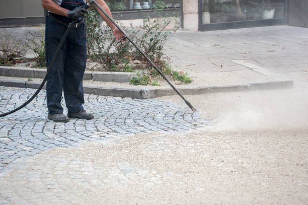 Best Pre-Holiday Cleaning  in Eagle Butte, SD