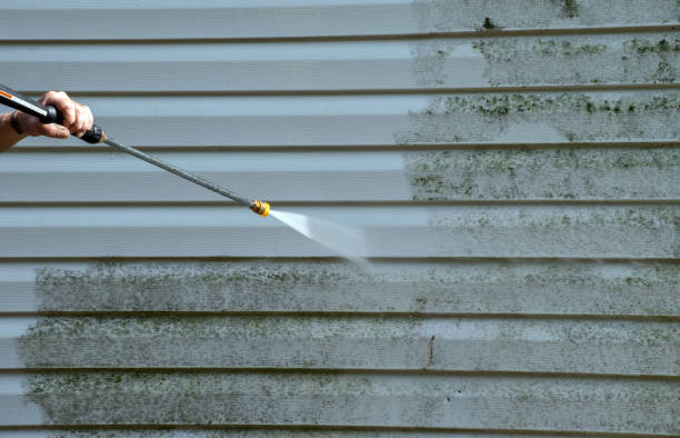 Best Sidewalk and Walkway Cleaning  in Eagle Butte, SD